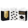 Hallmark 13" Assorted Grad Designs 3-Pack Large Gift Bags With Tissue Paper -Fashion Accessories Store Assorted Grad Designs 3Pack Large Gift Bags With Tissue Paper 5GBC1015 01