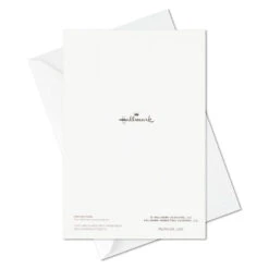 Hallmark Big Celebrations Assorted Cards, Box Of 12 -Fashion Accessories Store Big Celebrations Assorted Cards Bulk Pack 5EDX1073 06