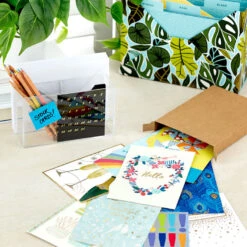 Hallmark Big Celebrations Assorted Cards, Box Of 12 -Fashion Accessories Store Big Celebrations Assorted Cards Bulk Pack 5EDX1073 07