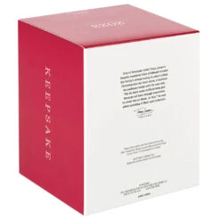 Hallmark The Peanuts® Gang Christmastime Is Here Musical Ornament With Motion -Fashion Accessories Store Peanuts Gang Ice Skating Keepsake Ornament 3999QXI7037 05