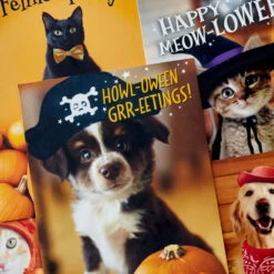 Hallmark Pet Puns Boxed Halloween Cards Assortment, Pack Of 48 -Fashion Accessories Store Pet Puns Boxed Halloween Cards Assortment 5ELT1013 03