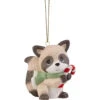 Precious Moments Spreading Christmas Cheer Raccoon Ornament, 2.8" -Fashion Accessories Store Precious Moments Raccoon Christmas Ornament 221024 01