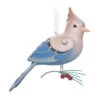 Hallmark The Beauty Of The Birds Leucistic Steller's Jay Ornament -Fashion Accessories Store Stellers Jay Blue Bird Keepsake Ornament 1799QXE3307 01